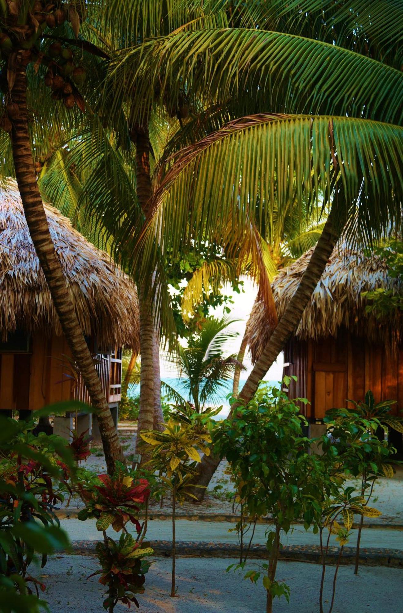 St. George'S Caye Resort Белиз-Сити Номер фото